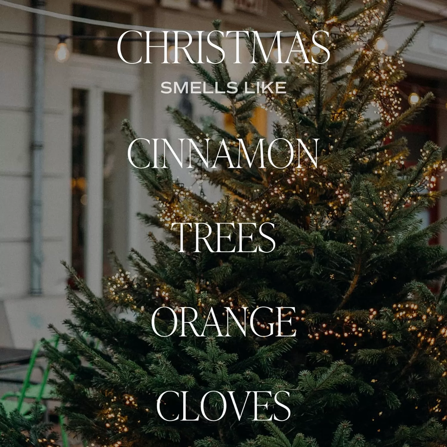 imageSweet Water Decor Christmas Candle  Cinnamon Trees Orange and Clove Scents  Christmas Candles and Decor for Home  9oz Clear Jar Soy Candle Made in the USAChristmas