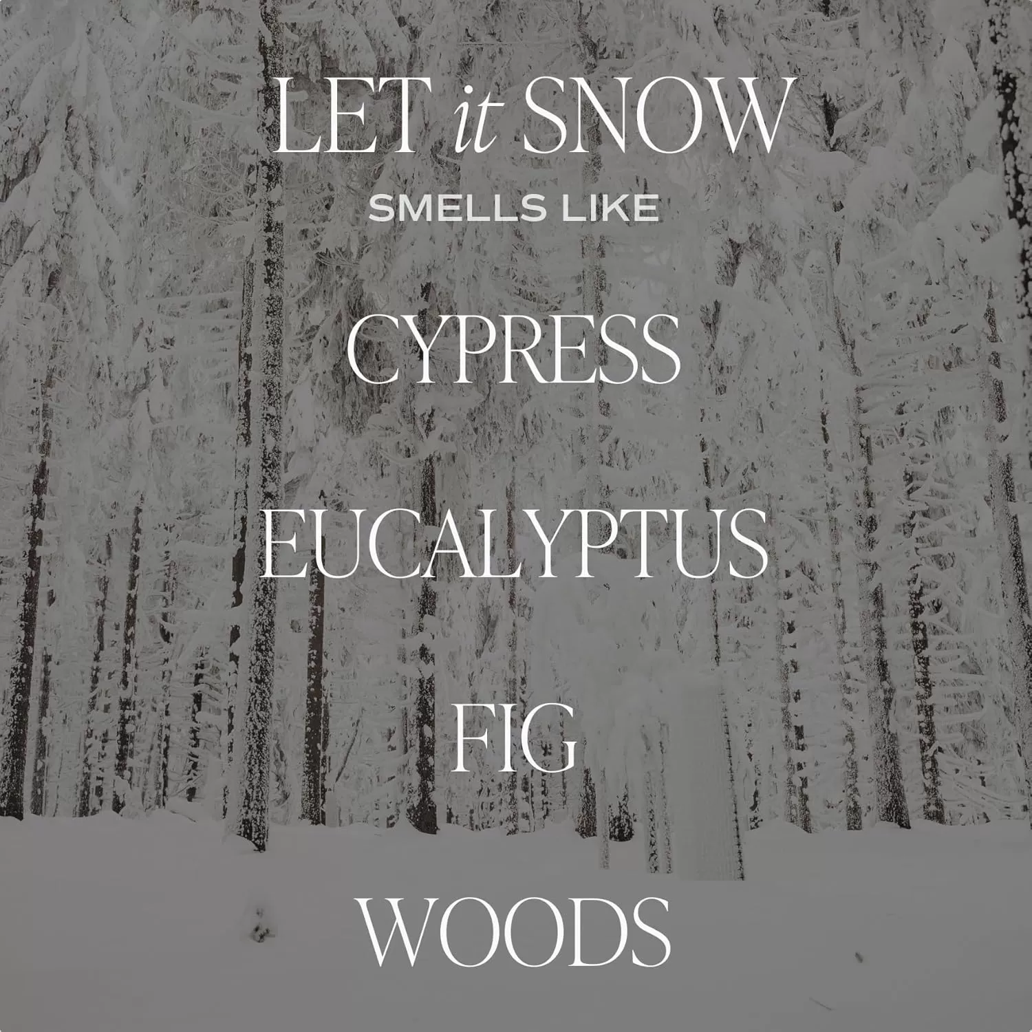 imageSweet Water Decor Cozy Season Soy Candle  Woods Warm Spice and Citrus Scented Candle for Home  15oz Tan Matte Jar 70 Hour Burn Time Made in the USA  Winter Candles for HomeTan