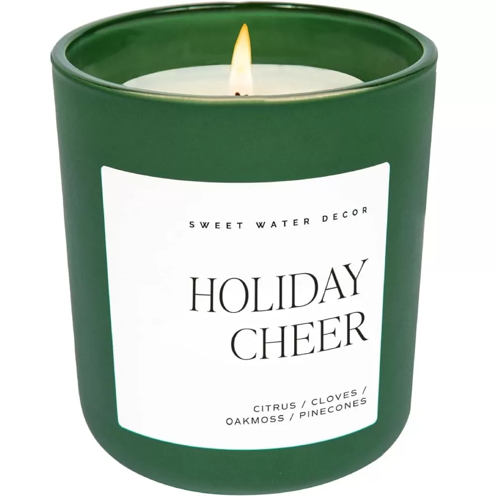 imageSweet Water Decor Cozy Season Soy Candle  Woods Warm Spice and Citrus Scented Candle for Home  15oz Tan Matte Jar 70 Hour Burn Time Made in the USA  Winter Candles for HomeGreen
