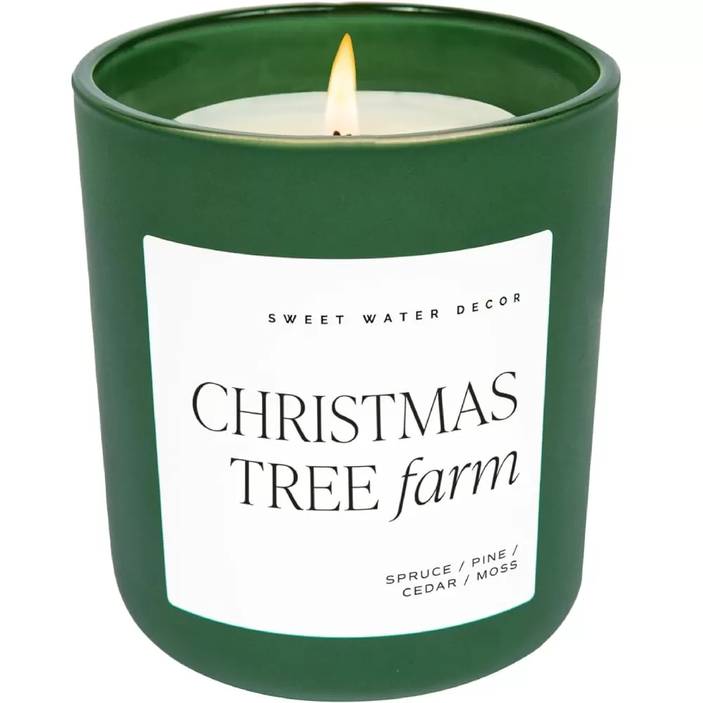 imageSweet Water Decor Cozy Season Soy Candle  Woods Warm Spice and Citrus Scented Candle for Home  15oz Tan Matte Jar 70 Hour Burn Time Made in the USA  Winter Candles for HomeGreen