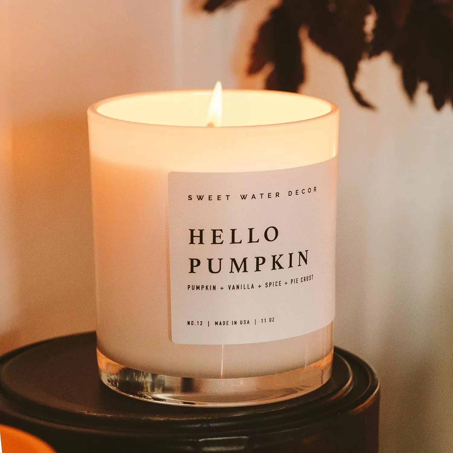 imageSweet Water Decor Farmhouse Candle  Autumn Cinnamon and Nutmeg Fall Scented Soy Candles for Home  11oz White Glass  Wood Lid 50 Hour Burn Time Made in the USAWhite