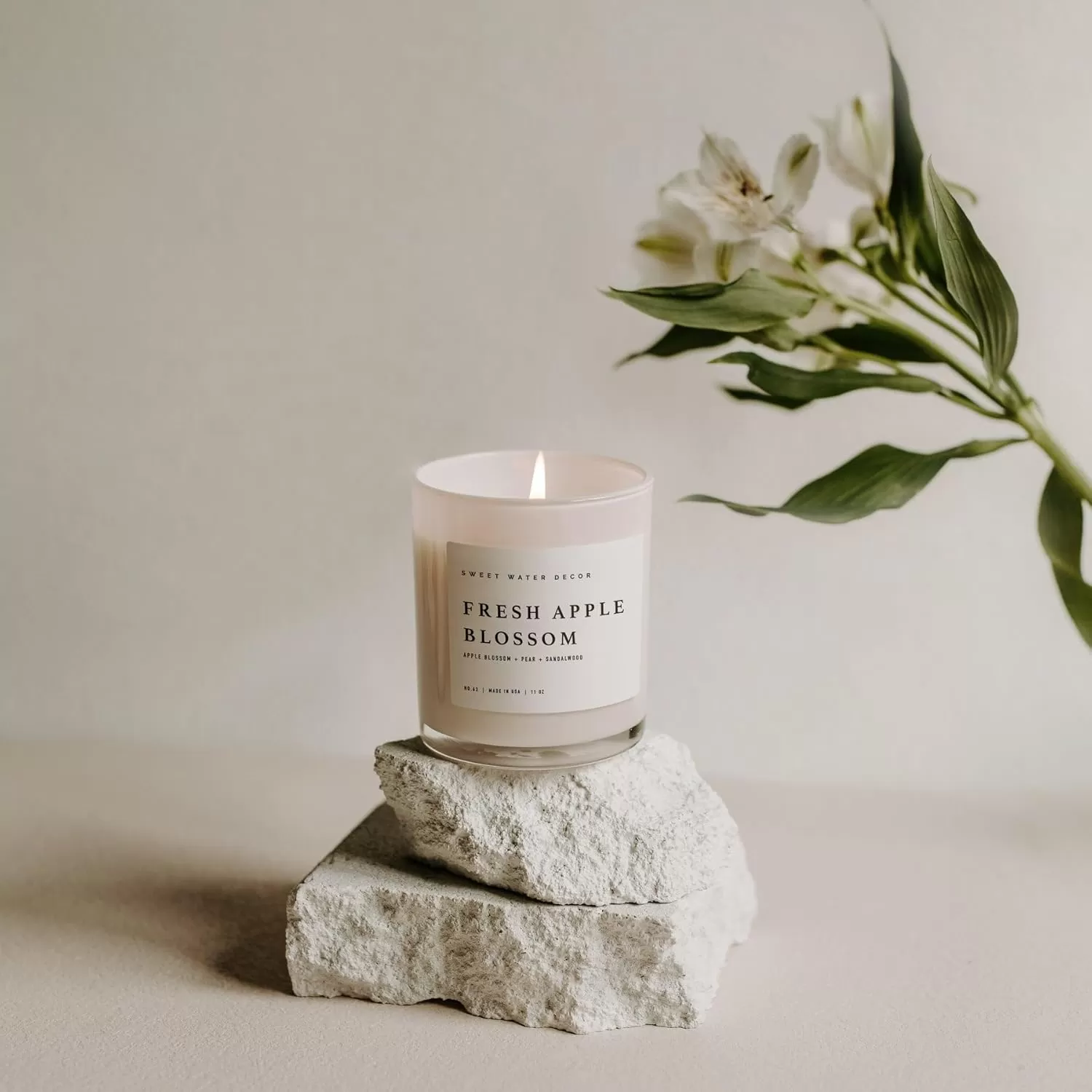 imageSweet Water Decor Farmhouse Candle  Autumn Cinnamon and Nutmeg Fall Scented Soy Candles for Home  11oz White Glass  Wood Lid 50 Hour Burn Time Made in the USAWhite