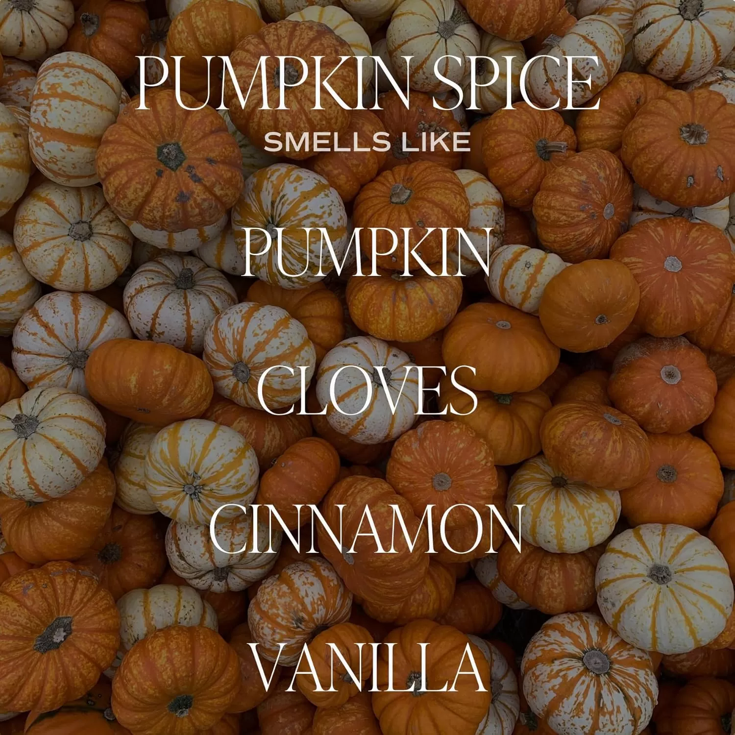 imageSweet Water Decor Farmhouse Candle  Autumn Cinnamon and Nutmeg Fall Scented Soy Candles for Home  11oz White Glass  Wood Lid 50 Hour Burn Time Made in the USAAmber