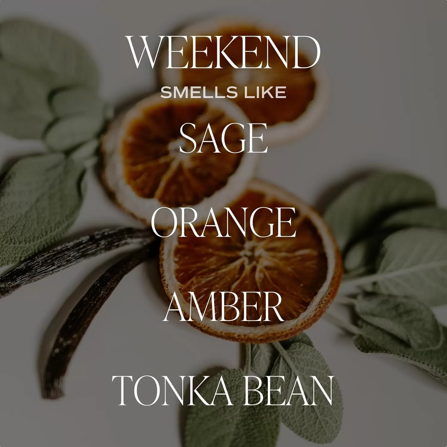 imageSweet Water Decor Farmhouse Candle  Autumn Cinnamon and Nutmeg Fall Scented Soy Candles for Home  11oz White Glass  Wood Lid 50 Hour Burn Time Made in the USAAmber