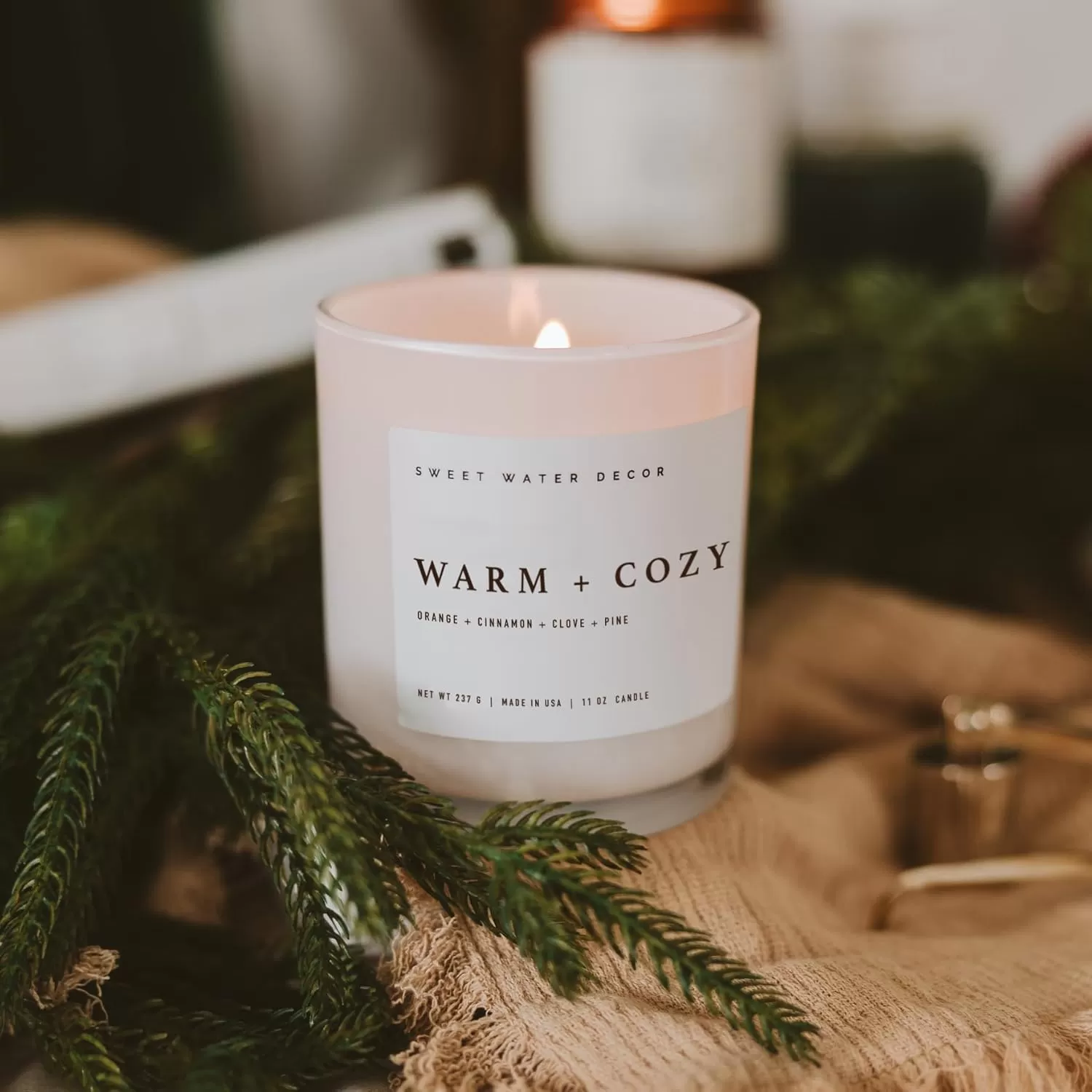 imageSweet Water Decor Farmhouse Candle  Autumn Cinnamon and Nutmeg Fall Scented Soy Candles for Home  11oz White Glass  Wood Lid 50 Hour Burn Time Made in the USAWhite