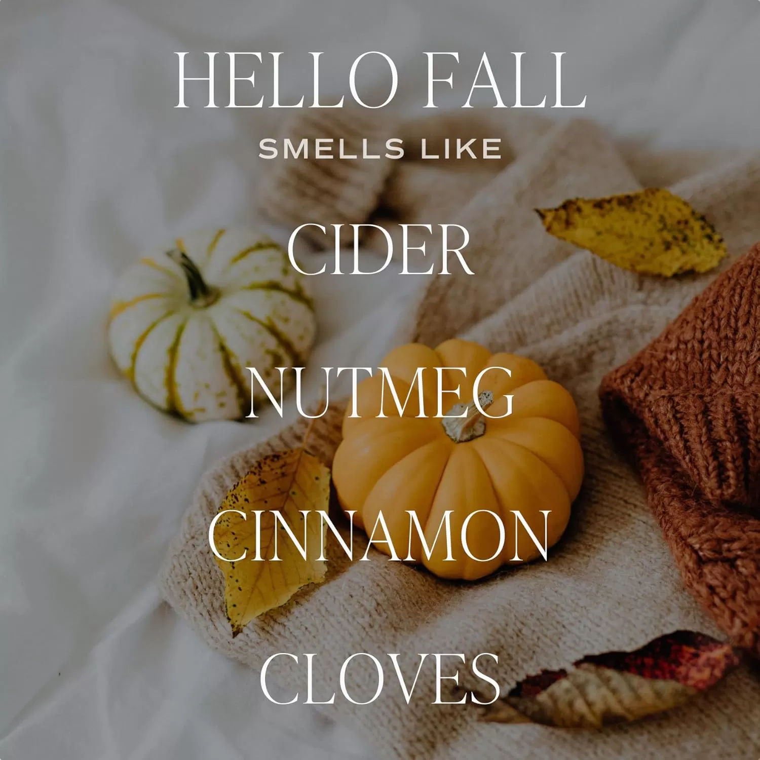 imageSweet Water Decor Farmhouse Candle  Autumn Cinnamon and Nutmeg Fall Scented Soy Candles for Home  11oz White Glass  Wood Lid 50 Hour Burn Time Made in the USAWhite