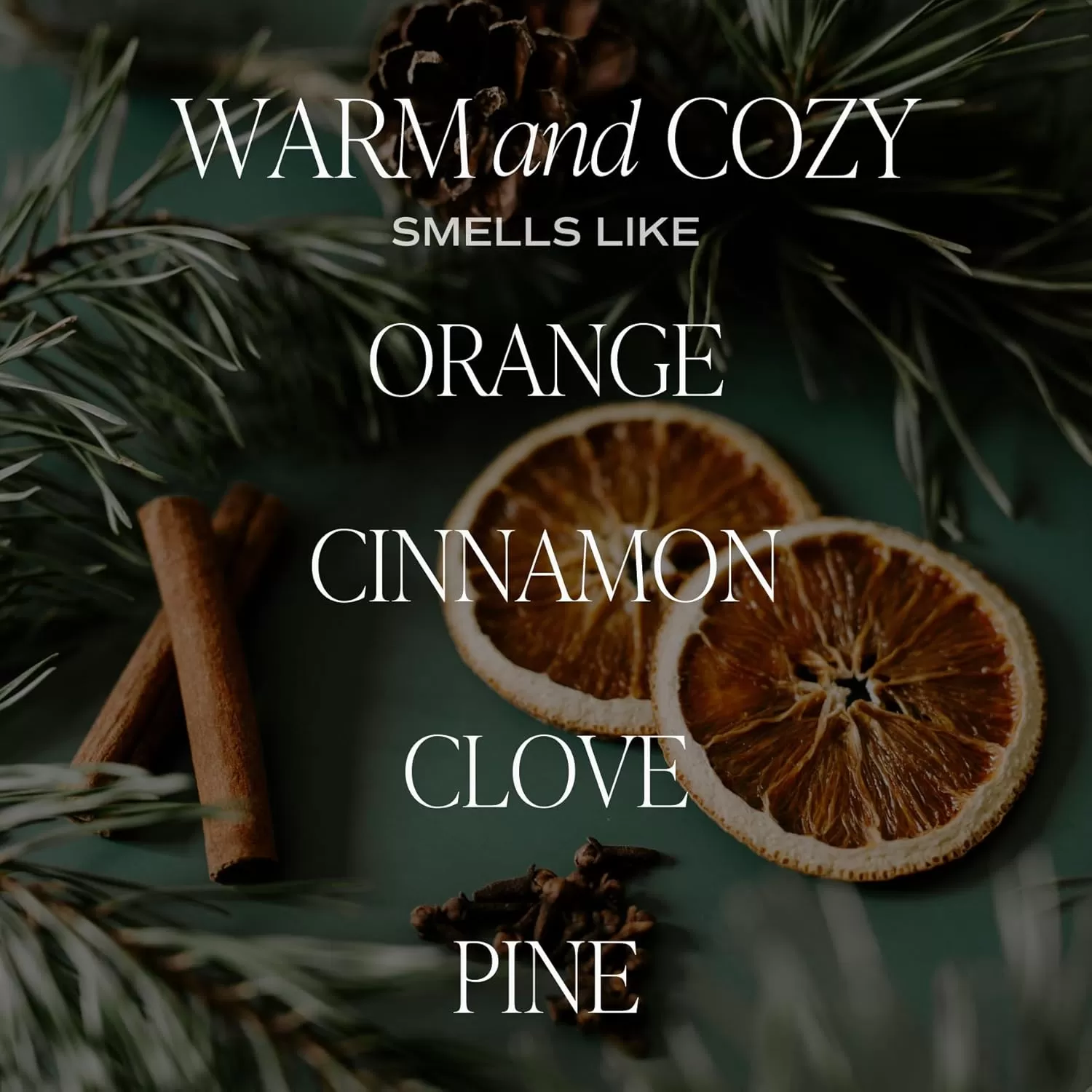 imageSweet Water Decor Farmhouse Candle  Autumn Cinnamon and Nutmeg Fall Scented Soy Candles for Home  11oz White Glass  Wood Lid 50 Hour Burn Time Made in the USAAmber
