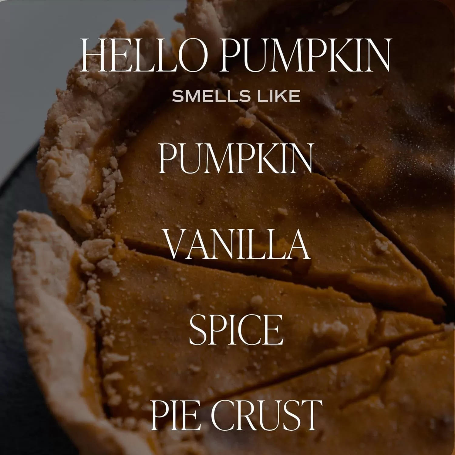 imageSweet Water Decor Farmhouse Candle  Autumn Cinnamon and Nutmeg Fall Scented Soy Candles for Home  11oz White Glass  Wood Lid 50 Hour Burn Time Made in the USAWhite