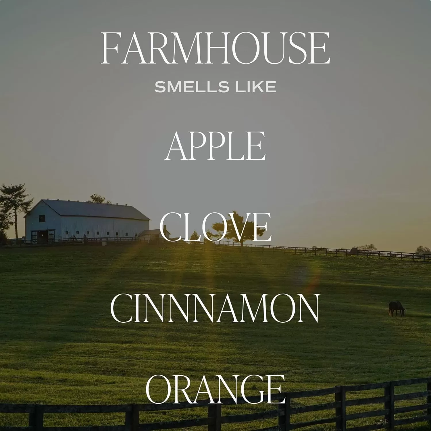 imageSweet Water Decor Farmhouse Candle  Autumn Cinnamon and Nutmeg Fall Scented Soy Candles for Home  11oz White Glass  Wood Lid 50 Hour Burn Time Made in the USAAmber