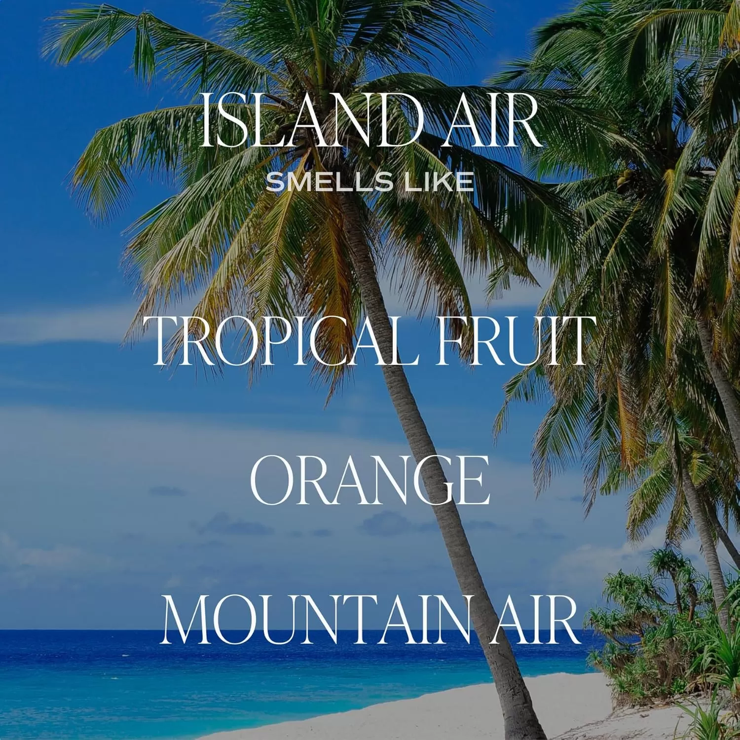 imageSweet Water Decor Island Air Candle  Tropical Fruit Sugared Citrus Mountain Greens Summer Scented Soy Candles for Home  9oz Clear Jar 40 Hour Burn Time Made in the USAIsland Air