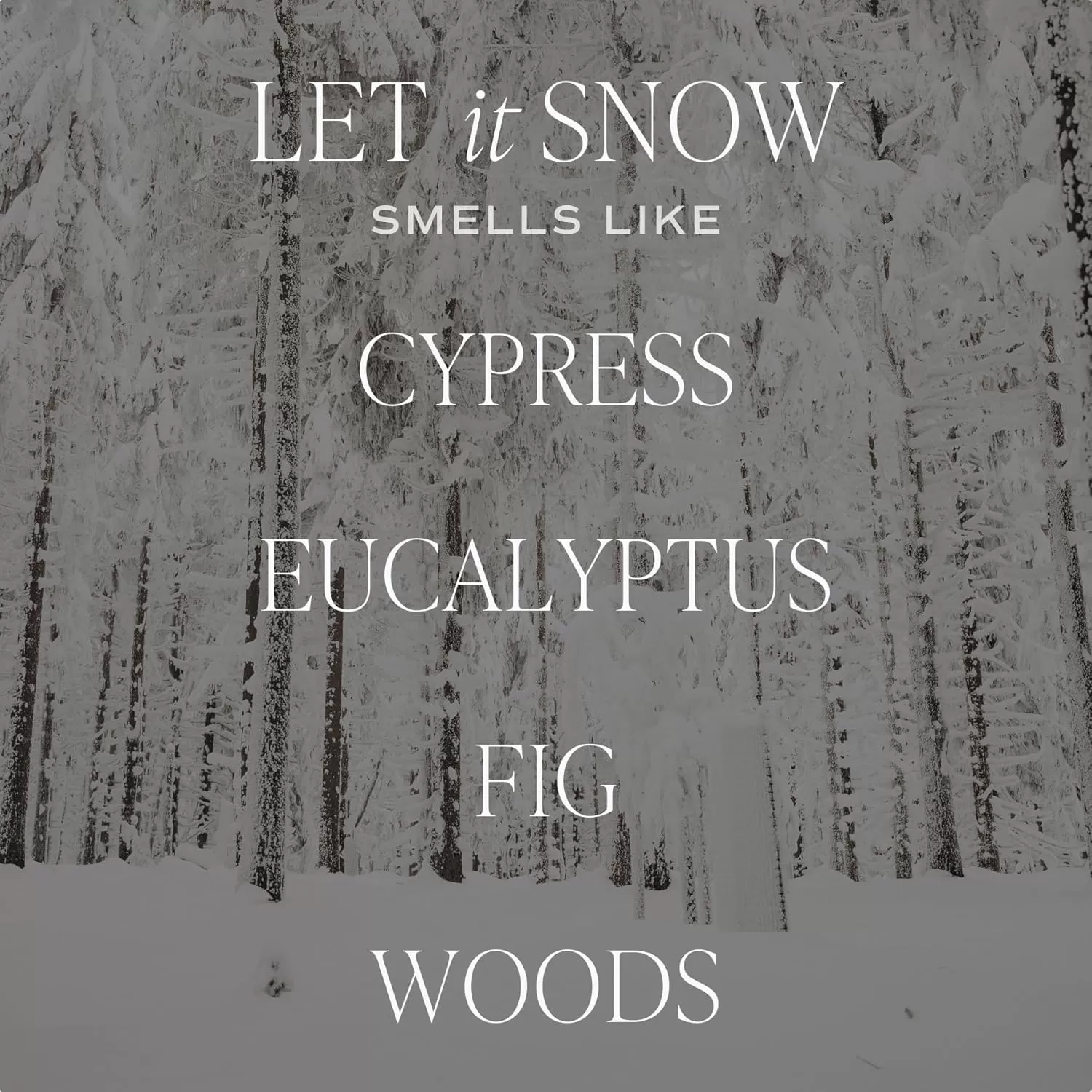 imageSweet Water Decor Relaxation Soy Candle  Eucalyptus Peppermint and Clove Scented Candles for Home  9oz Clear Jar  Gold Lid 40 Hour Burn Time Made in the USALet It Snow