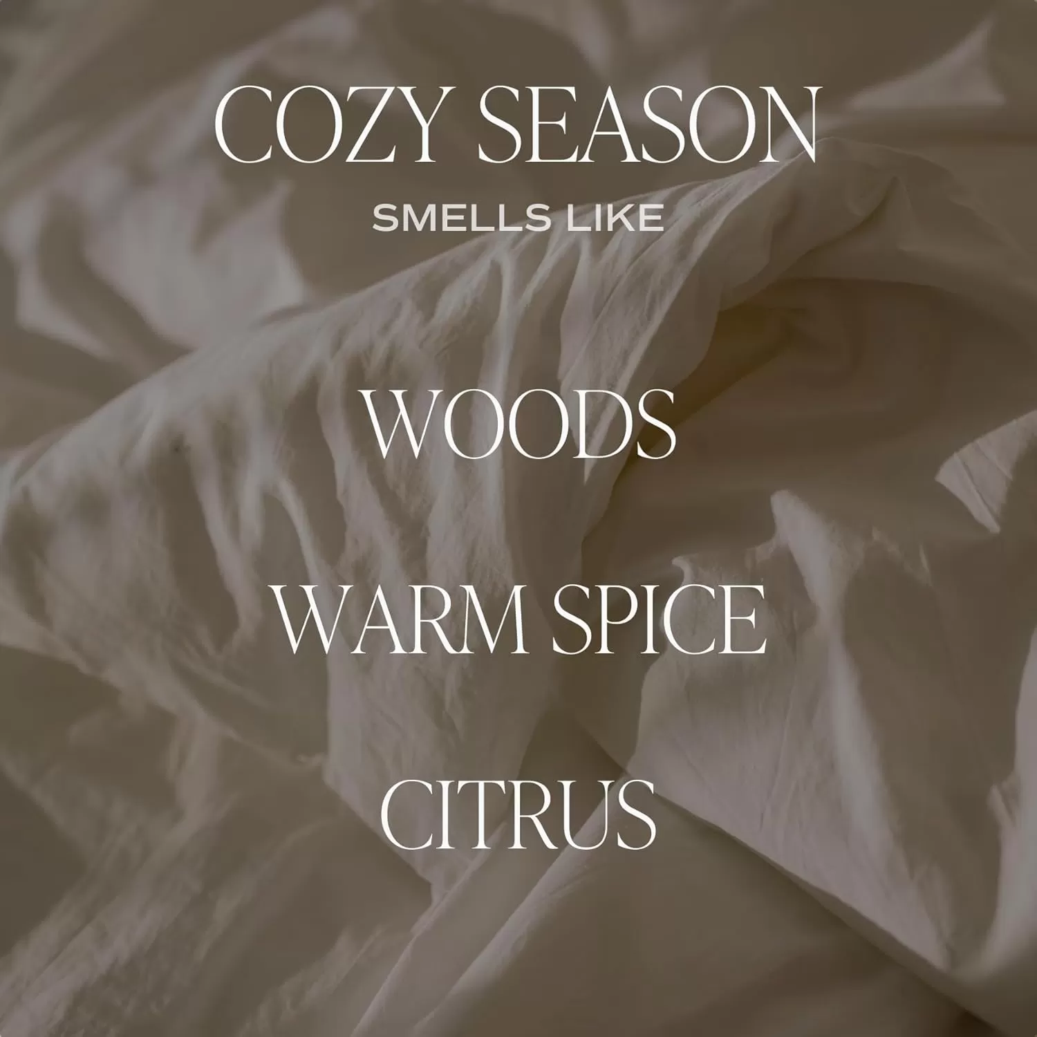 imageSweet Water Decor Relaxation Soy Candle  Eucalyptus Peppermint and Clove Scented Candles for Home  9oz Clear Jar  Gold Lid 40 Hour Burn Time Made in the USACozy Season