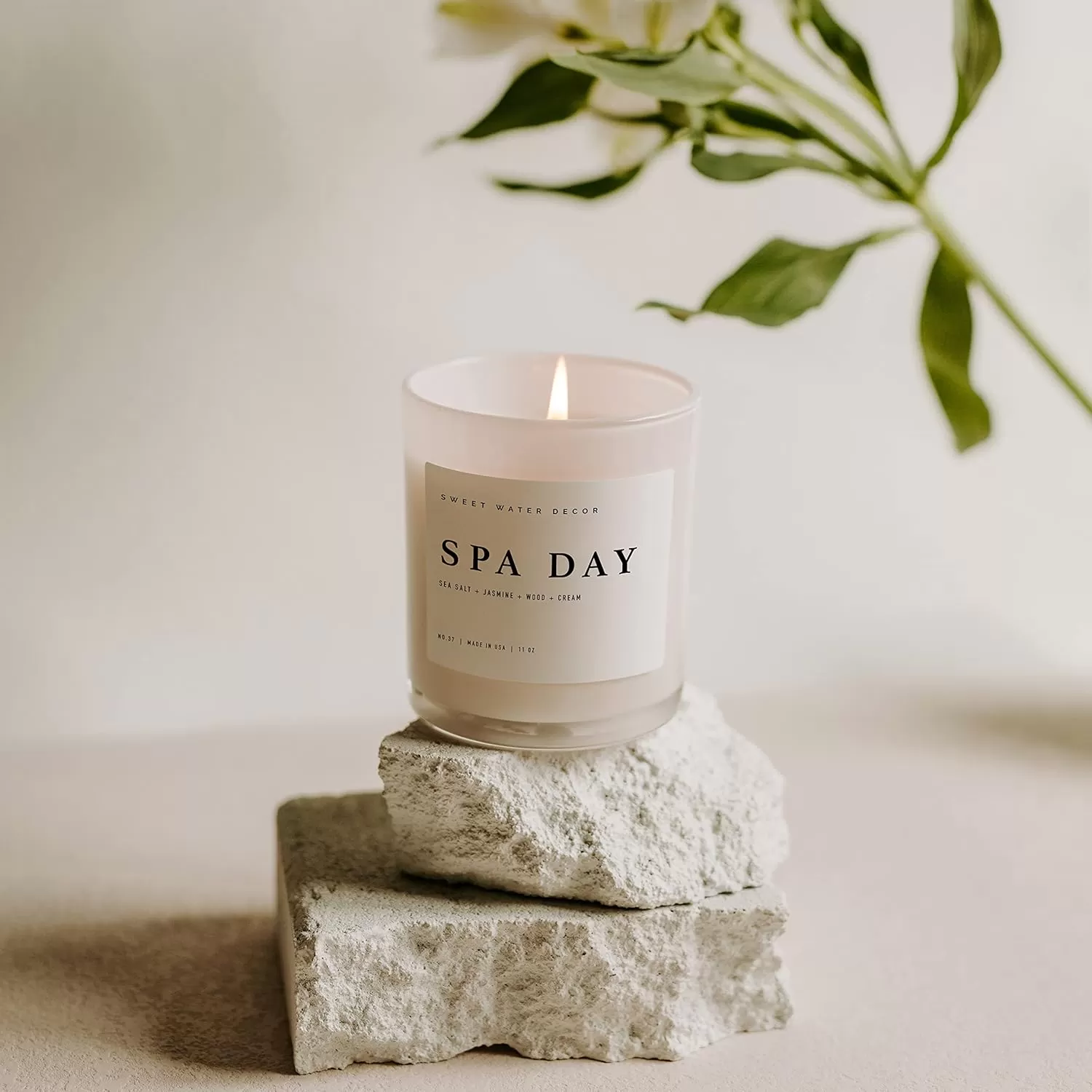 imageSweet Water Decor Salt  Sea Candle  Sea Salt Citrus Amber Musk Beach Scented Soy Candles for Home  11oz Amber Jar Candle  Wood Lid 50 Hour Burn Time Made in the USAWhite
