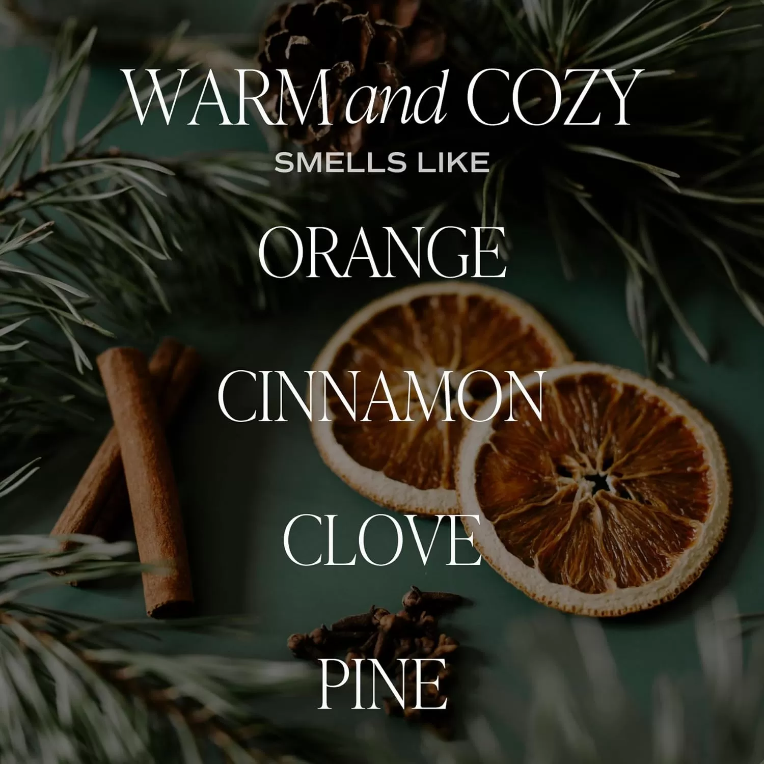 imageSweet Water Decor Salt  Sea Candle  Sea Salt Citrus Amber Musk Beach Scented Soy Candles for Home  11oz Amber Jar Candle  Wood Lid 50 Hour Burn Time Made in the USAWhite