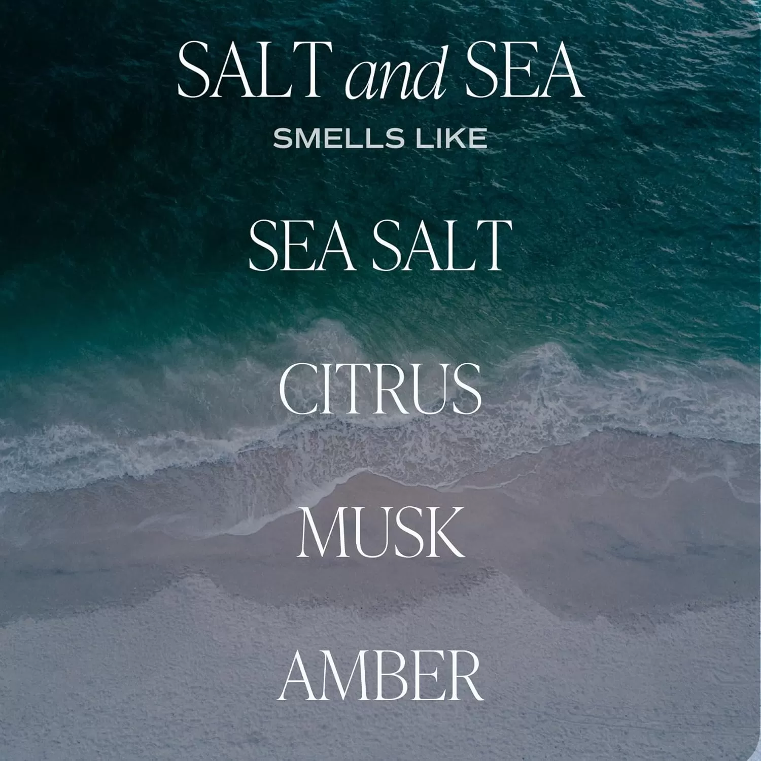 imageSweet Water Decor Salt and Sea Candle  Sea Salt Citrus Amber Musk Beach Scented Soy Candles for Home  Coastal Decor for Beach Lovers  9oz Clear Jar 40 Hour Burn Time Made in The USASalt  Sea
