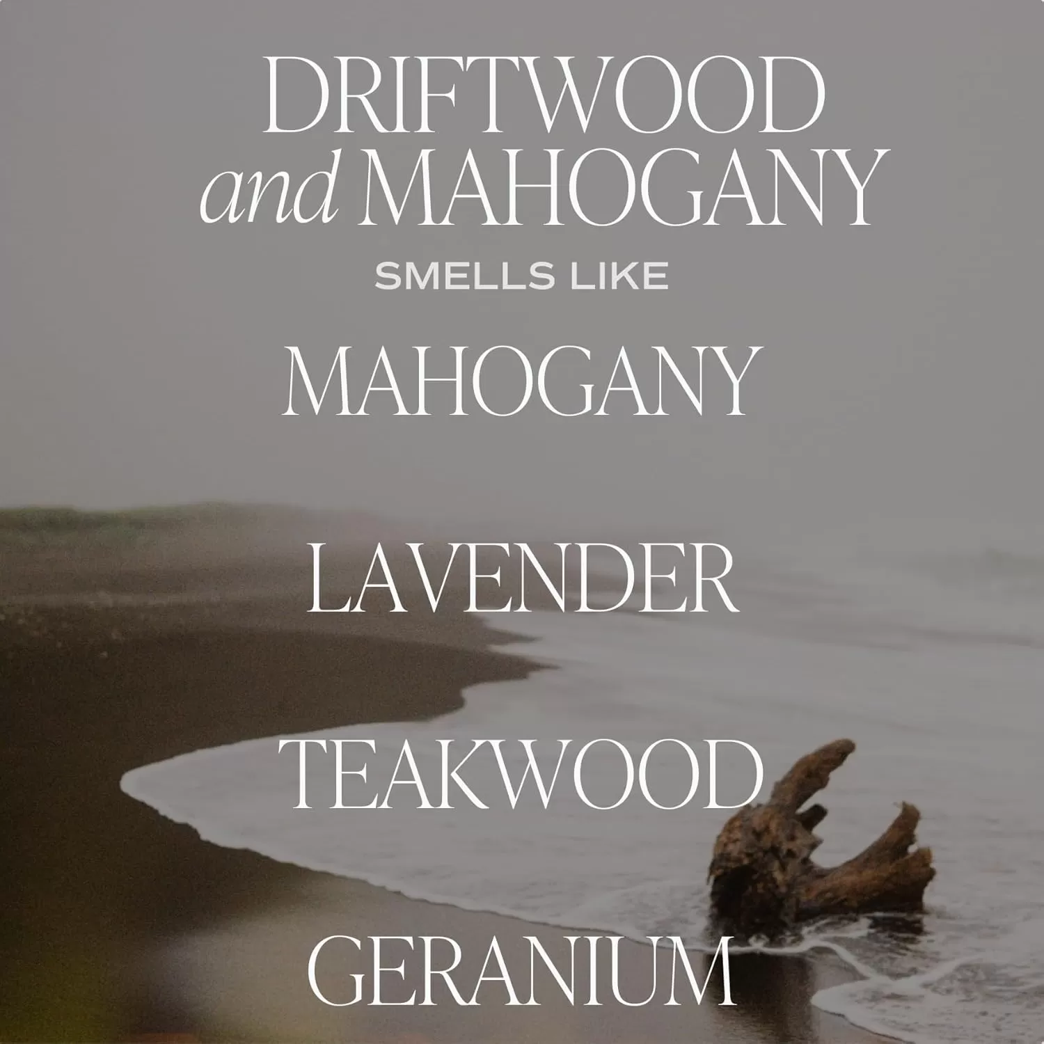 imageSweet Water Decor Spa Day Soy Candle  Sea Salt Jasmine Wood and Cream Scented Candles for Home  9oz Clear Jar  Gold Lid 40 Hour Burn Time Made in the USADriftwood and Mahogany