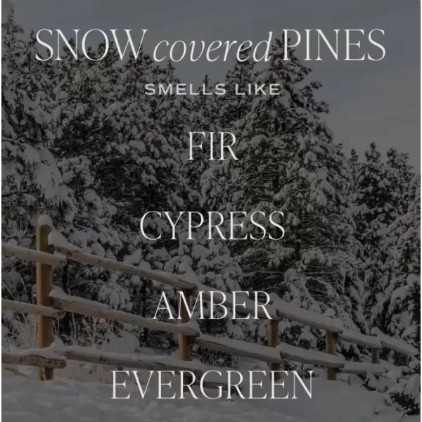 imageSweet Water Decor By The Fireside Candle  Vanilla Caramel Amber Tonka Smoky Woods Musk Winter Scented Soy Candles for Home  15oz Tan Jar 70 Hour Burn Time Made in the USAGreen