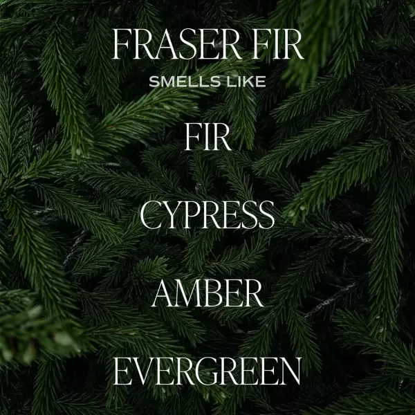 imageSweet Water Decor Christmas Candle  Apple Cider Cinnamon Fresh Cut Christmas Tree and Cookies Scented Soy Candle for Home  12oz Black Stoneware Jar 60 Hour Burn Time Made in the USAFraser Fir