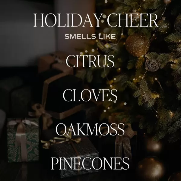 imageSweet Water Decor Cozy Season Soy Candle  Woods Warm Spice and Citrus Scented Candle for Home  15oz Tan Matte Jar 70 Hour Burn Time Made in the USA  Winter Candles for HomeGreen