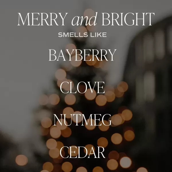 imageSweet Water Decor Cozy Season Soy Candle  Woods Warm Spice and Citrus Scented Candle for Home  15oz Tan Matte Jar 70 Hour Burn Time Made in the USA  Winter Candles for HomeGreen