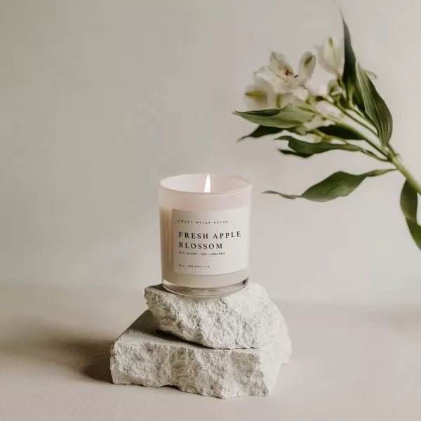imageSweet Water Decor Farmhouse Candle  Autumn Cinnamon and Nutmeg Fall Scented Soy Candles for Home  11oz White Glass  Wood Lid 50 Hour Burn Time Made in the USAWhite