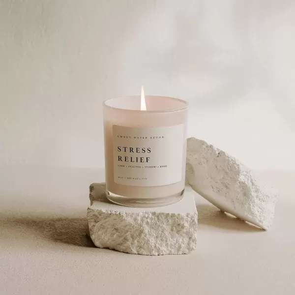 imageSweet Water Decor Farmhouse Candle  Autumn Cinnamon and Nutmeg Fall Scented Soy Candles for Home  11oz White Glass  Wood Lid 50 Hour Burn Time Made in the USAWhite