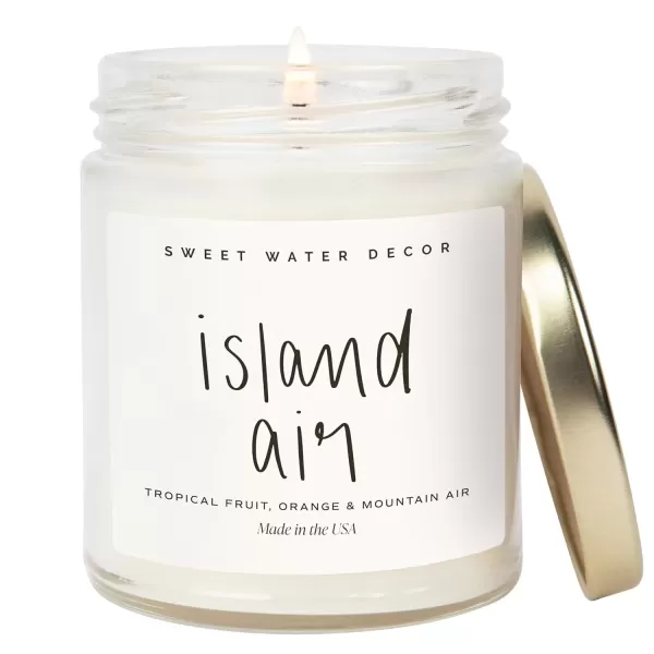 imageSweet Water Decor Leaves Candle  Autumn Cinnamon Apple Fall Scented Soy Candles for Home  9oz Clear Jar 40 Hour Burn Time Made in the USAIsland Air
