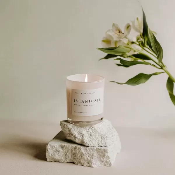 imageSweet Water Decor Salt  Sea Candle  Sea Salt Citrus Amber Musk Beach Scented Soy Candles for Home  11oz Amber Jar Candle  Wood Lid 50 Hour Burn Time Made in the USAWhite