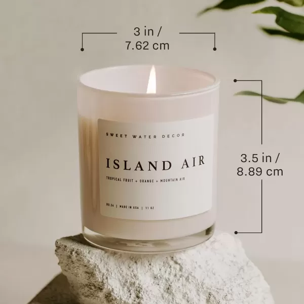 imageSweet Water Decor Salt  Sea Candle  Sea Salt Citrus Amber Musk Beach Scented Soy Candles for Home  11oz Amber Jar Candle  Wood Lid 50 Hour Burn Time Made in the USAWhite