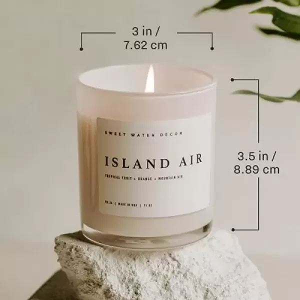imageSweet Water Decor Salt  Sea Candle  Sea Salt Citrus Amber Musk Beach Scented Soy Candles for Home  11oz Amber Jar Candle  Wood Lid 50 Hour Burn Time Made in the USAWhite