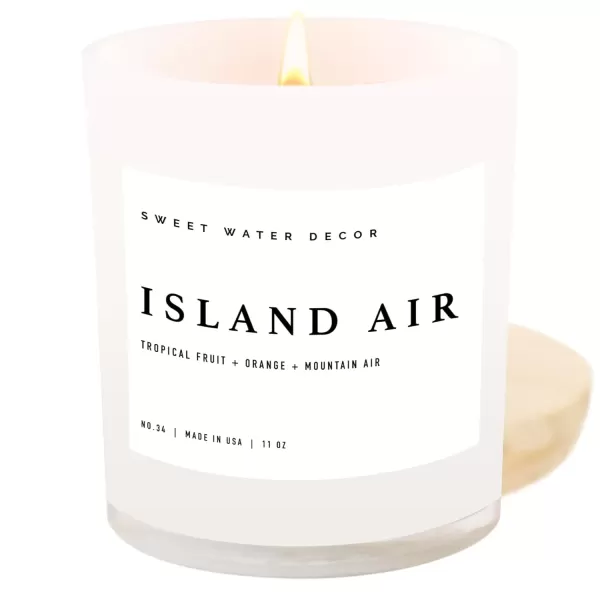 imageSweet Water Decor Salt  Sea Candle  Sea Salt Citrus Amber Musk Beach Scented Soy Candles for Home  11oz Amber Jar Candle  Wood Lid 50 Hour Burn Time Made in the USAWhite
