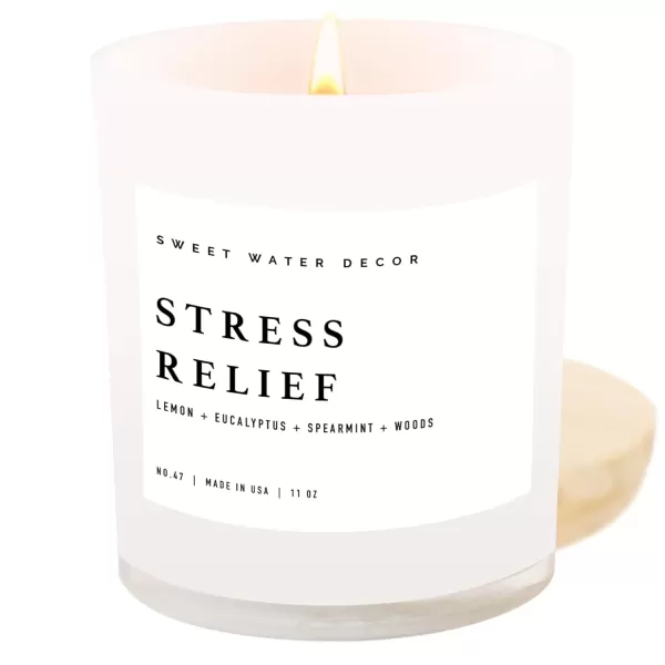 imageSweet Water Decor Salt  Sea Candle  Sea Salt Citrus Amber Musk Beach Scented Soy Candles for Home  11oz Amber Jar Candle  Wood Lid 50 Hour Burn Time Made in the USAWhite