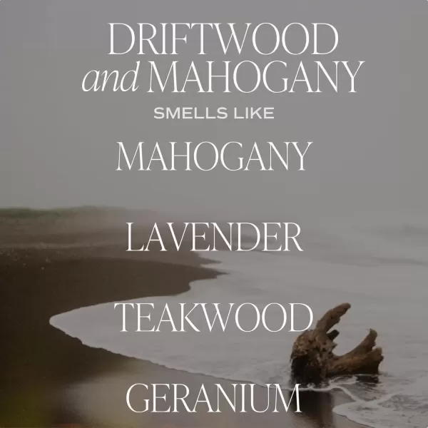 imageSweet Water Decor Spa Day Soy Candle  Sea Salt Jasmine Wood and Cream Scented Candles for Home  9oz Clear Jar  Gold Lid 40 Hour Burn Time Made in the USADriftwood and Mahogany