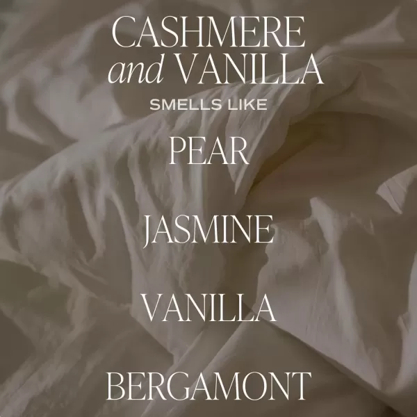imageSweet Water Decor Cashmere and Vanilla Reed Diffuser Set  Cashmere Sandalwood Milky Coconut Bourbon Vanilla Scented Diffuser  Scent Diffusers for Home Long Lasting Fragrance Made in the USACashmere  Vanilla