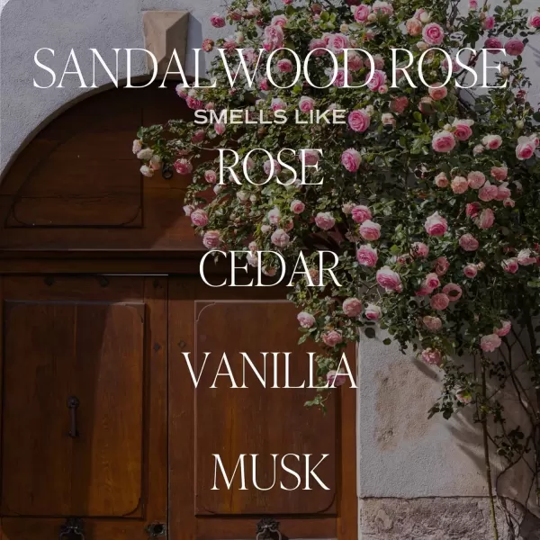 imageSweet Water Decor Salt  Sea Amber Reed Diffuser Set  Sea Salt Citrus Musk Amber Summer Scented Reed Diffusers for Home  Air Freshener  Aromatherapy  Housewarming GiftSandalwood Rose Diffuser