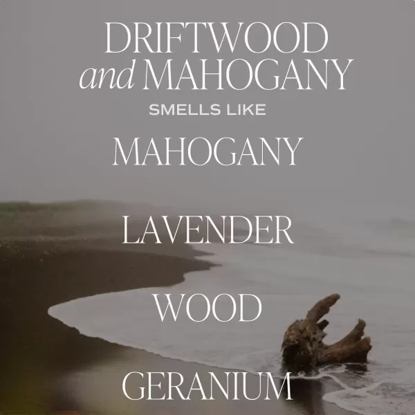 imageSweet Water Decor Salt  Sea Amber Reed Diffuser Set  Sea Salt Citrus Musk Amber Summer Scented Reed Diffusers for Home  Air Freshener  Aromatherapy  Housewarming GiftDriftwood and Mahogany