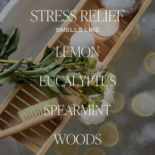 imageSweet Water Decor Salt and Sea Candle  Sea Salt Citrus Amber Musk Beach Scented Soy Candles for Home  11oz White Glass Jar  Wood Lid 50 Hour Burn Time Made in the USAAmber