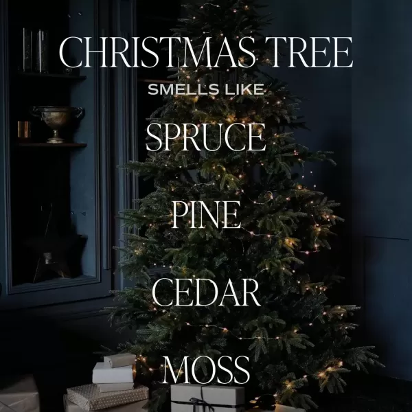 imageSweet Water Decor Spa Reed Diffuser Set  Sea Salt Wood and Cream Scented Reed Diffuser for Home  Home Freshener Diffuser with Sticks  Long Lasting Fragrance Made in the USAChristmas Tree