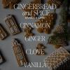 imageSweet Water Decor Christmas Candle  Christmas Tree Apple Cider and Cinnamon Winter Holiday Scented Soy Candles for Home  9oz Amber Jar 40 Hour Burn Time Made in the USAGingerbread  Spice
