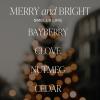 imageSweet Water Decor Christmas Candle  Christmas Tree Apple Cider and Cinnamon Winter Holiday Scented Soy Candles for Home  9oz Amber Jar 40 Hour Burn Time Made in the USAMerry  Bright