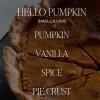 imageSweet Water Decor Cinnamon Roll Candle  Fall Candle with Cinnamon Icing and Cinnamon Buttery Pastry for Home  Cinnamon Soy Candle with 40 Hours Burn Time  9Oz Gold Lid Clear Jar Cinnamon ScentsHello Pumpkin