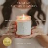 imageSweet Water Decor Coastal Lemon Scented Candles  Soy Candles with Lemon Sea Salt ampamp Driftwood for Home Decor  Candle Wax with 40 Hours Burn Time  9oz Gold Lid Clear Jar Candles for Home ScentedSalt and Sea