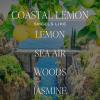 imageSweet Water Decor Coastal Lemon Scented Candles  Soy Candles with Lemon Sea Salt ampamp Driftwood for Home Decor  Candle Wax with 40 Hours Burn Time  9oz Gold Lid Clear Jar Candles for Home ScentedCoastal Lemon