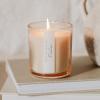 imageSweet Water Decor Island Air Scented Soy Candles  Tropical Fruits Lemons Redolent with Mountain Greens  Fresh Coastal Aroma  50 Hour Burn  12oz Tinted Glass Jar for Home Decor and Bedroom DecorFarmhouse