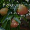 imageSweet Water Decor Island Air Scented Soy Candles  Tropical Fruits Lemons Redolent with Mountain Greens  Fresh Coastal Aroma  50 Hour Burn  12oz Tinted Glass Jar for Home Decor and Bedroom DecorPink Grapefruit