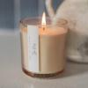 imageSweet Water Decor Island Air Scented Soy Candles  Tropical Fruits Lemons Redolent with Mountain Greens  Fresh Coastal Aroma  50 Hour Burn  12oz Tinted Glass Jar for Home Decor and Bedroom DecorSpa Day