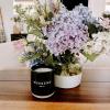 imageSweet Water Decor Island Air Scented Soy Candles  Tropical Fruits Lemons Redolent with Mountain Greens  Fresh Coastal Aroma  50 Hour Burn  12oz Tinted Glass Jar for Home Decor and Bedroom DecorWeekend