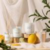 imageSweet Water Decor Coastal Lemon Scented Candles  Soy Candles with Lemon Sea Salt ampamp Driftwood for Home Decor  Candle Wax with 50 Hours Burn Time  11Oz Wood Lid White Jar Candles for Home ScentedWhite