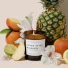 imageSweet Water Decor Coastal Lemon Scented Candles  Soy Candles with Lemon Sea Salt ampamp Driftwood for Home Decor  Candle Wax with 50 Hours Burn Time  11Oz Wood Lid White Jar Candles for Home ScentedAmber