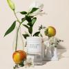 imageSweet Water Decor Coastal Lemon Scented Candles  Soy Candles with Lemon Sea Salt ampamp Driftwood for Home Decor  Candle Wax with 50 Hours Burn Time  11Oz Wood Lid White Jar Candles for Home ScentedWhite